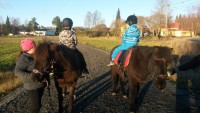 /album/kuvagalleria-elain-ja-luontoavusteinen-toiminta/a2015-11-04-15-03-27-jpg1/